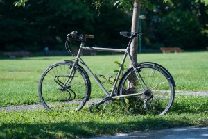 Surly Long Haul trucker Thomson XT