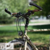 surly-ateliers-fourmi-7401