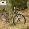 Rohloff-surly-ECR-Ateliers-Fourmi-2-17